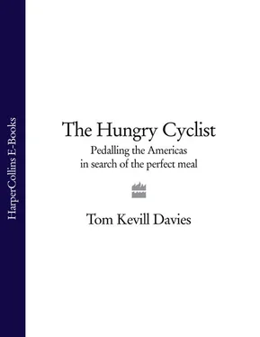 Tom Davies The Hungry Cyclist: Pedalling The Americas In Search Of The Perfect Meal обложка книги