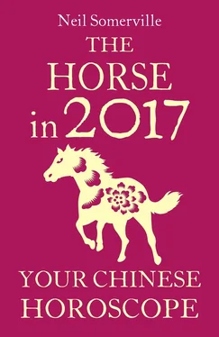 Neil Somerville The Horse in 2017: Your Chinese Horoscope обложка книги