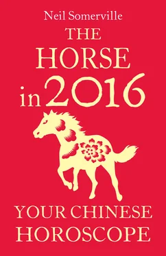 Neil Somerville The Horse in 2016: Your Chinese Horoscope обложка книги