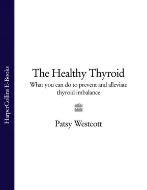 Patsy Westcott The Healthy Thyroid: What you can do to prevent and alleviate thyroid imbalance обложка книги