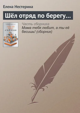 Елена Нестерина Шёл отряд по берегу… обложка книги