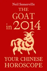 Neil Somerville - The Goat in 2014 - Your Chinese Horoscope
