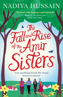 Nadiya Hussain The Fall and Rise of the Amir Sisters обложка книги