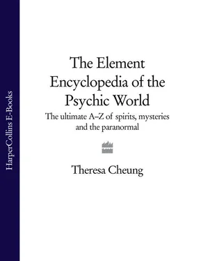 Theresa Cheung The Element Encyclopedia of the Psychic World: The Ultimate A–Z of Spirits, Mysteries and the Paranormal обложка книги