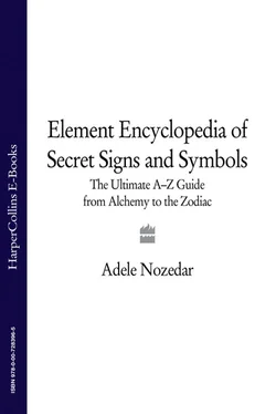 Adele Nozedar The Element Encyclopedia of Secret Signs and Symbols: The Ultimate A–Z Guide from Alchemy to the Zodiac обложка книги