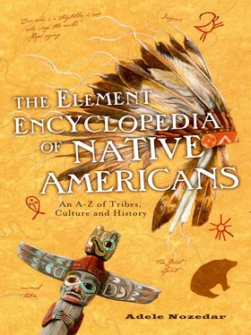 Adele Nozedar The Element Encyclopedia of Native Americans: An A to Z of Tribes, Culture, and History обложка книги