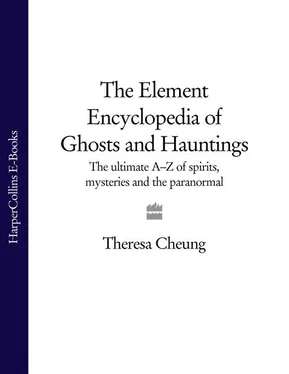 Theresa Cheung The Element Encyclopedia of Ghosts and Hauntings: The Complete A–Z for the Entire Magical World обложка книги