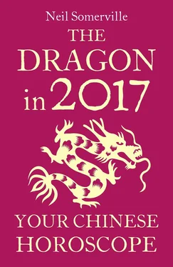 Neil Somerville The Dragon in 2017: Your Chinese Horoscope обложка книги
