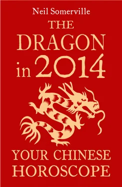 Neil Somerville The Dragon in 2014: Your Chinese Horoscope обложка книги