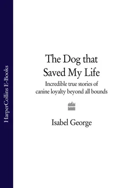 Isabel George The Dog that Saved My Life: Incredible true stories of canine loyalty beyond all bounds обложка книги