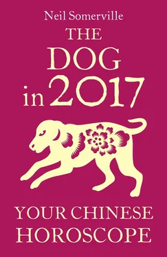 Neil Somerville The Dog in 2017: Your Chinese Horoscope обложка книги