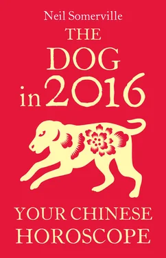 Neil Somerville The Dog in 2016: Your Chinese Horoscope обложка книги