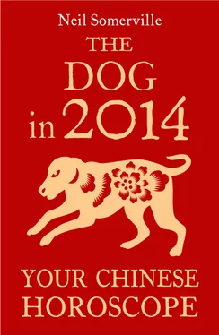Neil Somerville The Dog in 2014: Your Chinese Horoscope обложка книги