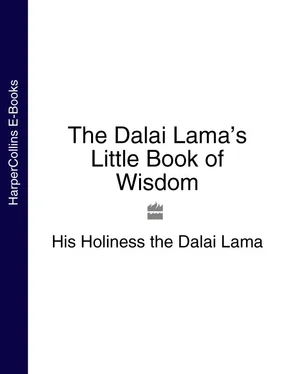 His Holiness the Dalai Lama The Dalai Lama’s Little Book of Wisdom обложка книги