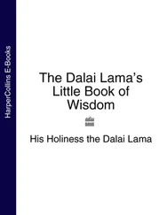His Holiness the Dalai Lama - The Dalai Lama’s Little Book of Wisdom