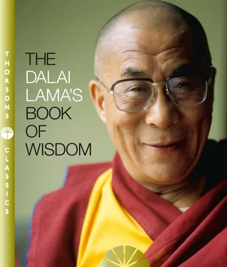 His Holiness the Dalai Lama The Dalai Lama’s Book of Wisdom обложка книги