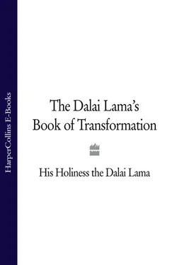His Holiness the Dalai Lama The Dalai Lama’s Book of Transformation обложка книги