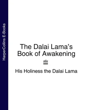 His Holiness the Dalai Lama The Dalai Lama’s Book of Awakening обложка книги