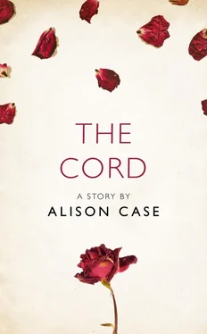 Alison Case The Cord: A Story from the collection, I Am Heathcliff обложка книги