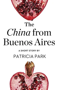 Patricia Park The China from Buenos Aires: A Short Story from the collection, Reader, I Married Him обложка книги