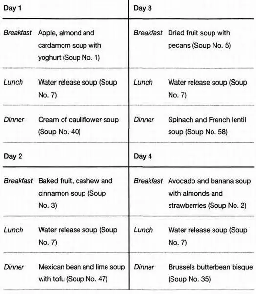 IMPORTANT Since you should not eat any other foods during these four days - фото 2