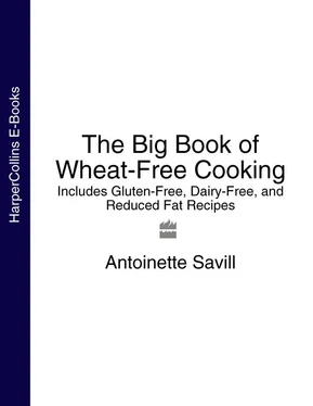 Antoinette Savill The Big Book of Wheat-Free Cooking: Includes Gluten-Free, Dairy-Free, and Reduced Fat Recipes обложка книги