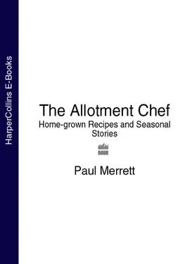 Paul Merrett The Allotment Chef: Home-grown Recipes and Seasonal Stories обложка книги