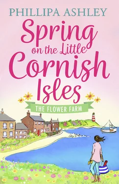 Phillipa Ashley Spring on the Little Cornish Isles: The Flower Farm обложка книги