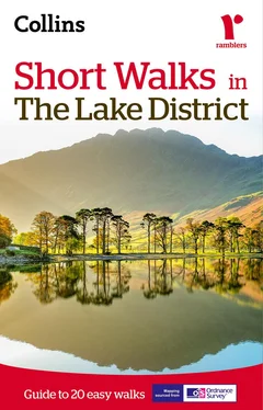 Collins Maps Short walks in the Lake District обложка книги