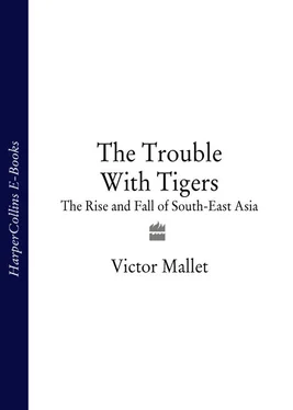 Victor Mallet The Trouble With Tigers: The Rise and Fall of South-East Asia обложка книги
