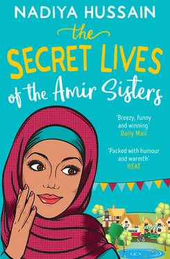 Nadiya Hussain The Secret Lives of the Amir Sisters: the ultimate heart-warming read for 2018 обложка книги