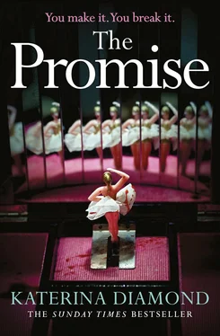 Katerina Diamond The Promise: The twisty new thriller from the Sunday Times bestseller, guaranteed to keep you up all night обложка книги