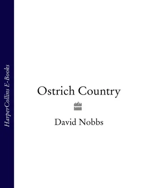 David Nobbs Ostrich Country обложка книги