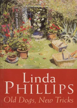 Linda Phillips Old Dogs, New Tricks обложка книги