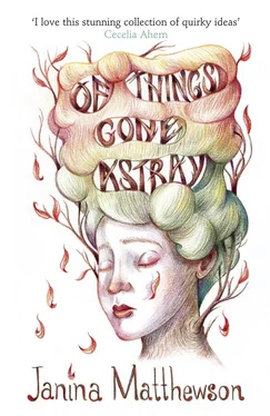 Janina Matthewson Of Things Gone Astray обложка книги