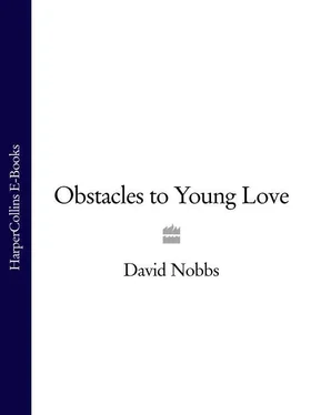 David Nobbs Obstacles to Young Love обложка книги