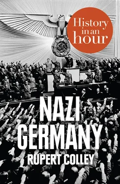 Rupert Colley Nazi Germany: History in an Hour обложка книги