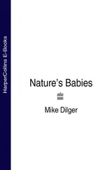 Mike Dilger - Nature’s Babies
