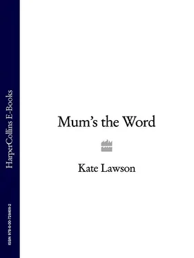Kate Lawson Mum’s the Word обложка книги