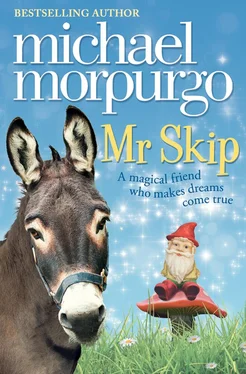 Michael Morpurgo Mr Skip обложка книги