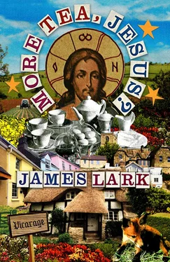 James Lark More Tea, Jesus? обложка книги