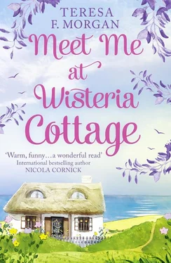 Teresa Morgan Meet Me at Wisteria Cottage обложка книги