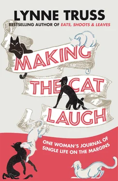 Lynne Truss Making the Cat Laugh обложка книги