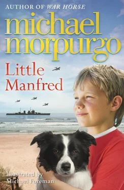 Michael Morpurgo Little Manfred обложка книги
