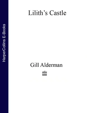 Gill Alderman Lilith’s Castle обложка книги