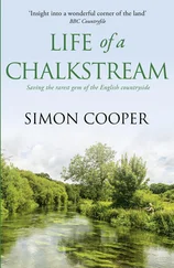Simon Cooper - Life of a Chalkstream