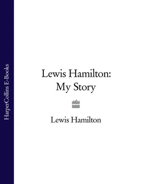 Lewis Hamilton Lewis Hamilton: My Story обложка книги