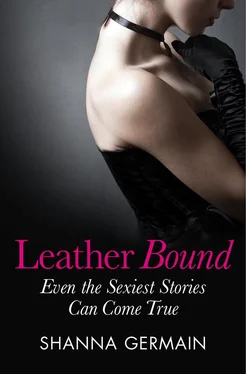 Shanna Germain Leather Bound обложка книги