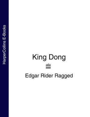 Edgar Ragged King Dong обложка книги