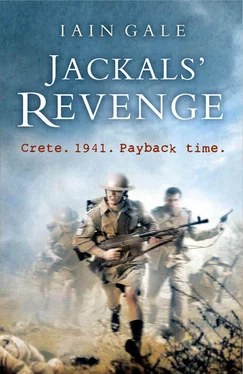 Iain Gale Jackals’ Revenge обложка книги